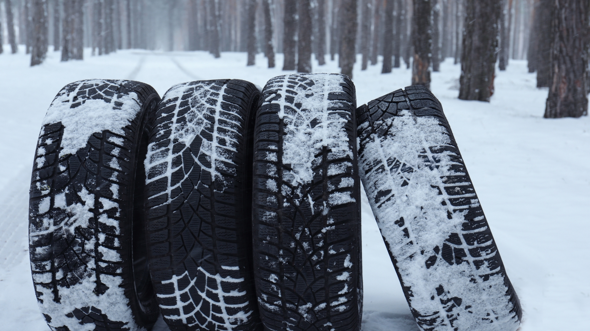 Kayseri Kayak Merkezi Transfer Hizmeti