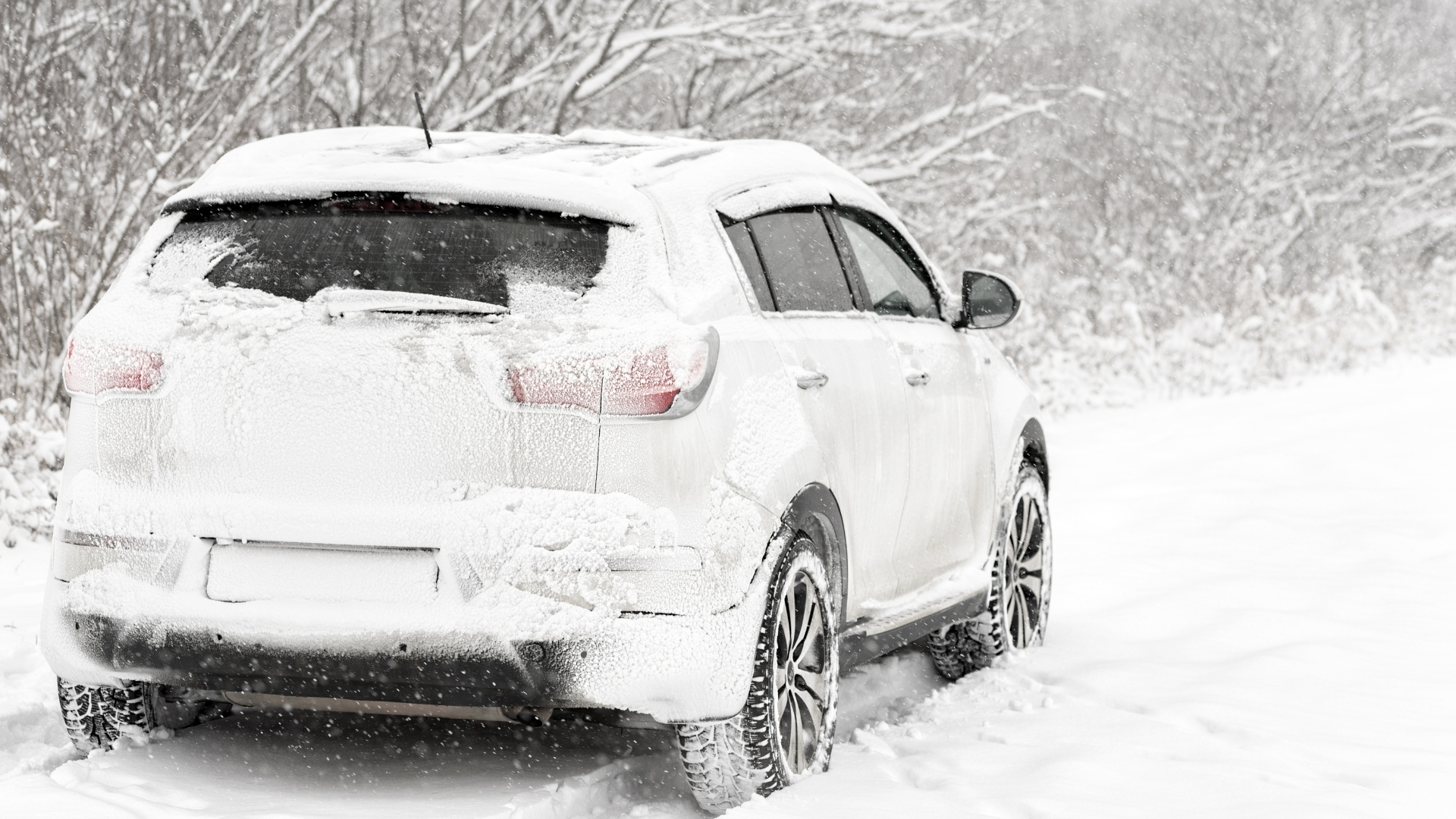 erciyes kayak transfer