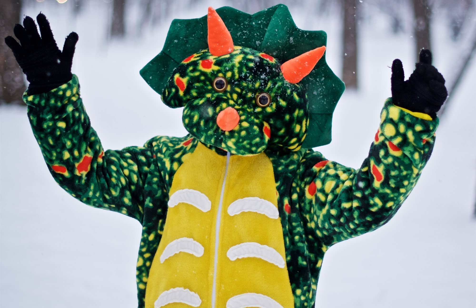 Kostümlü Kayak Etkinliği